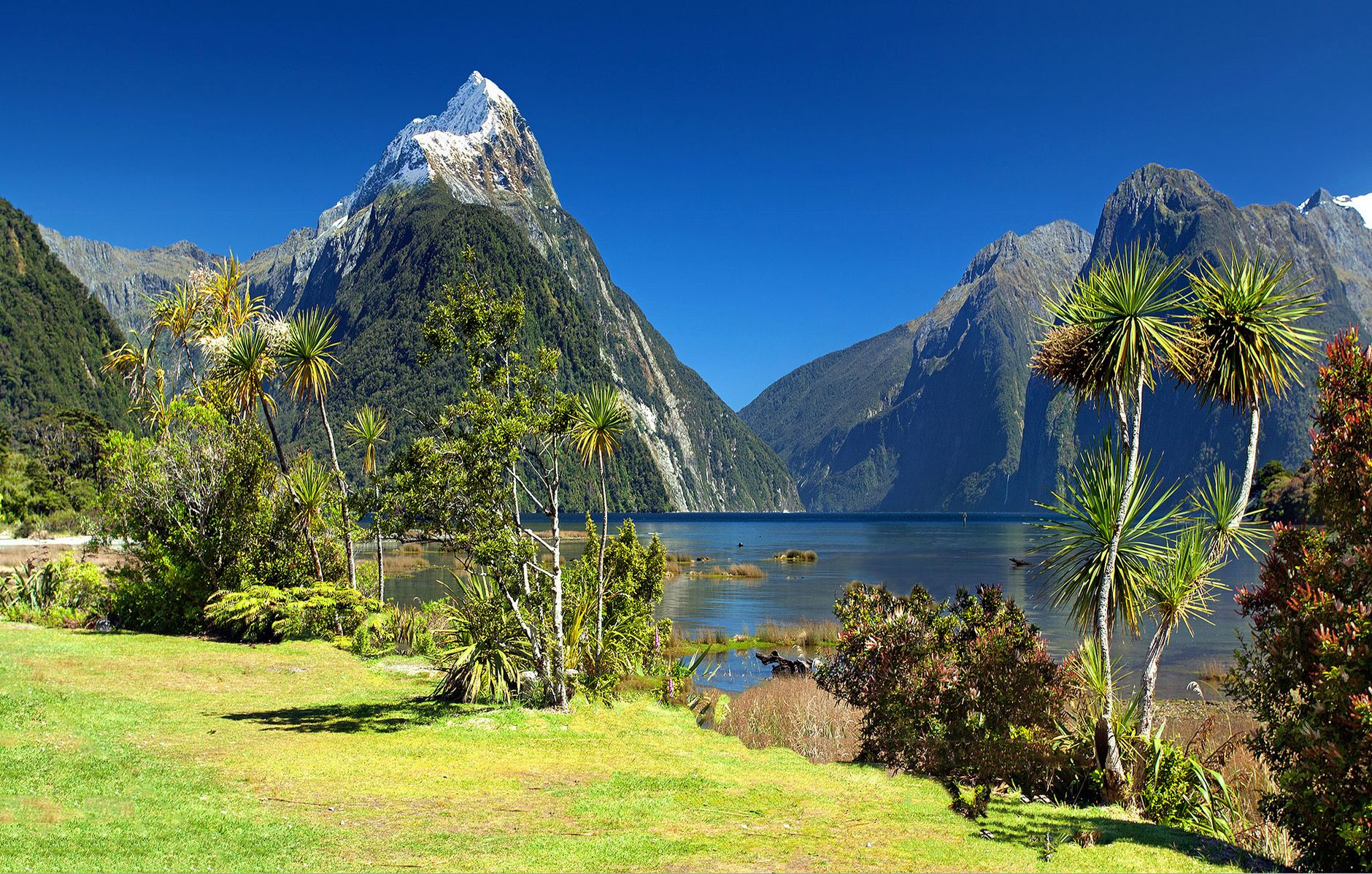 Milford Sound Mitre Peak